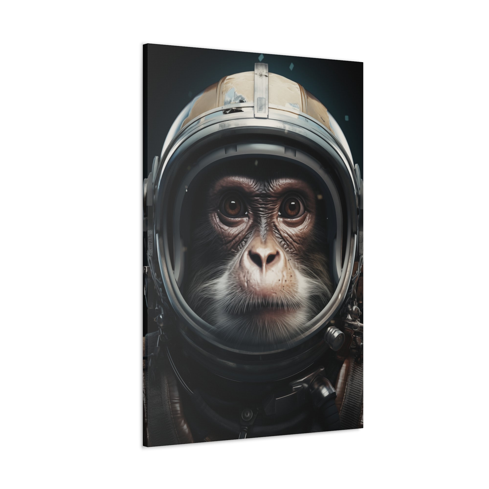 AstroMonkey Canvas Wall Art - SynthFrame