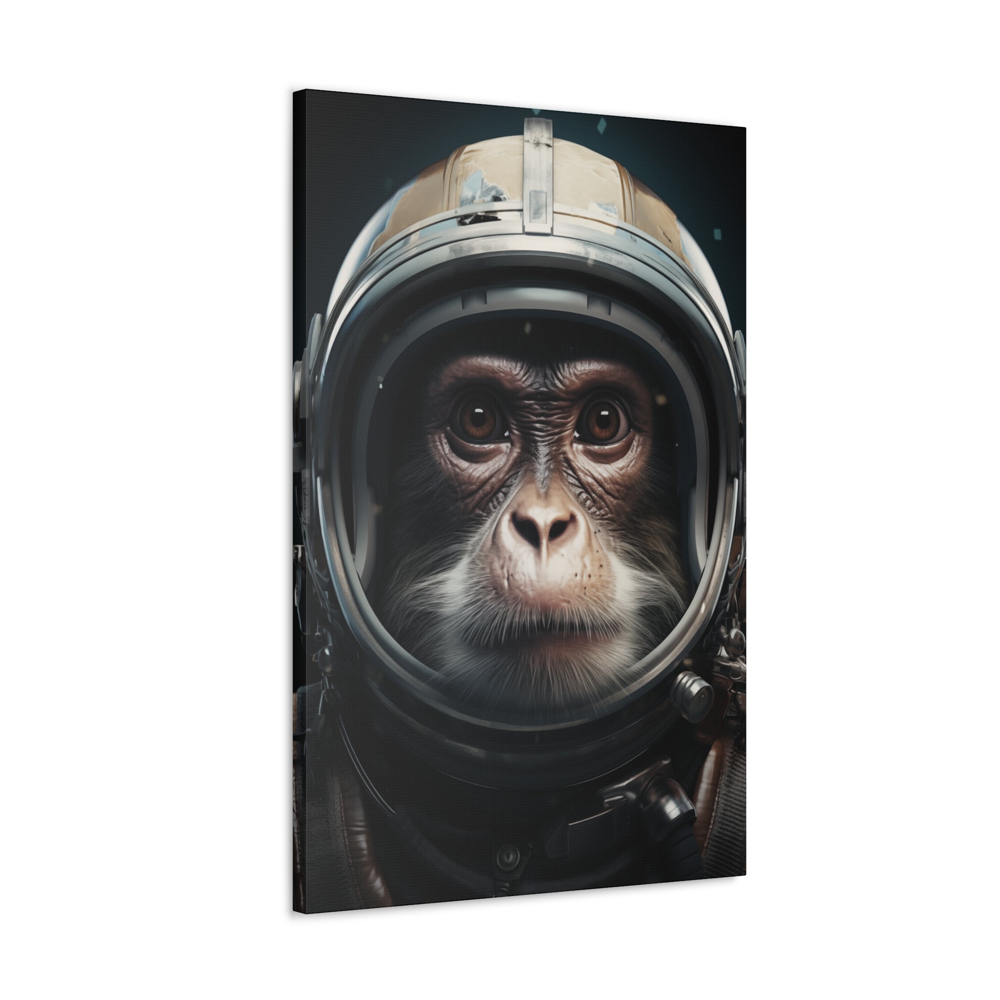 AstroMonkey Canvas Wall Art - SynthFrame