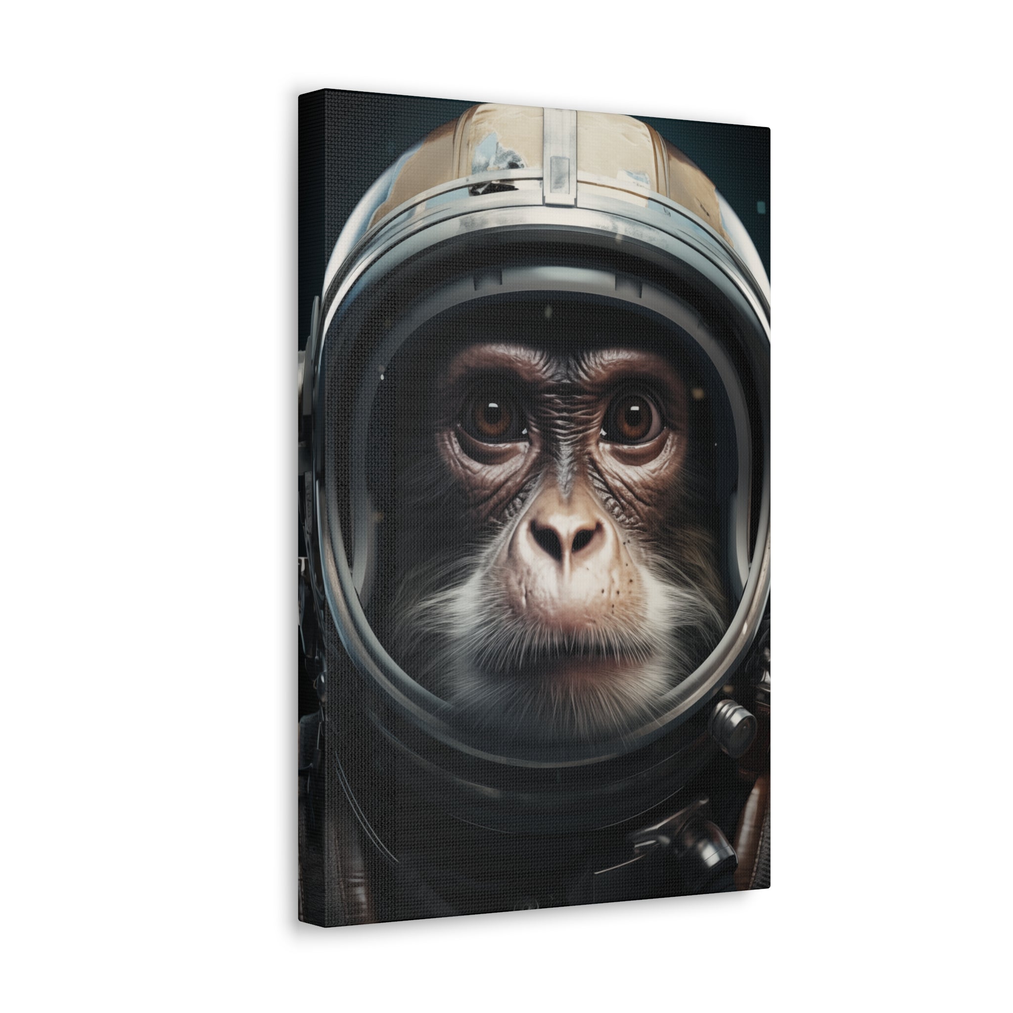 AstroMonkey Canvas Wall Art - SynthFrame