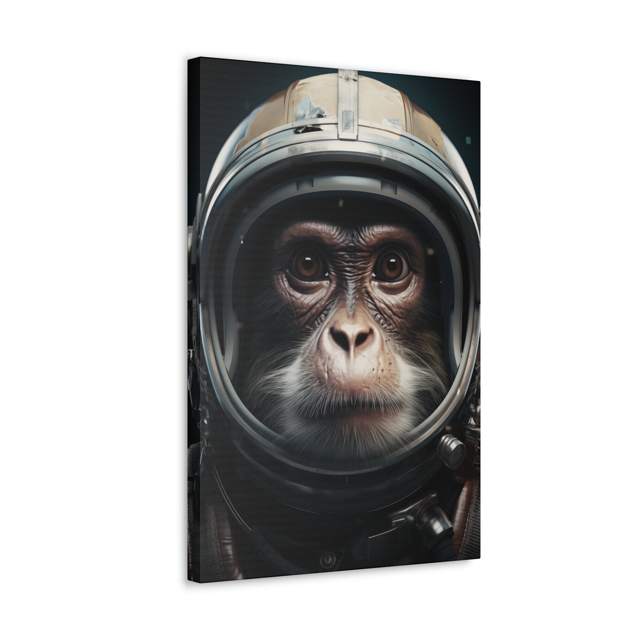 AstroMonkey Canvas Wall Art - SynthFrame